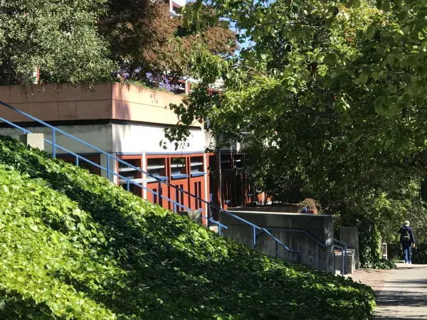 Random background image